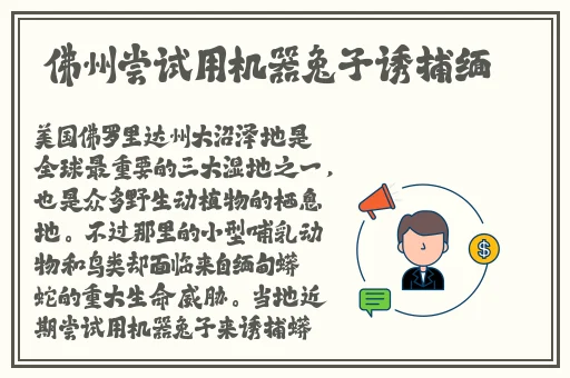 精品国产卡一卡二