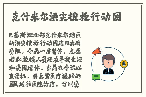 无码国产精成人午夜视频一区二区